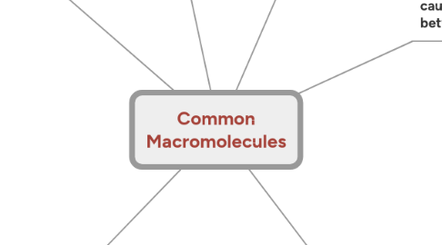Mind Map: Common Macromolecules