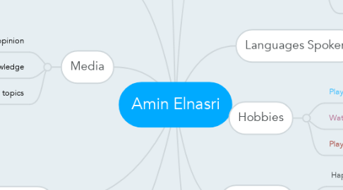 Mind Map: Amin Elnasri