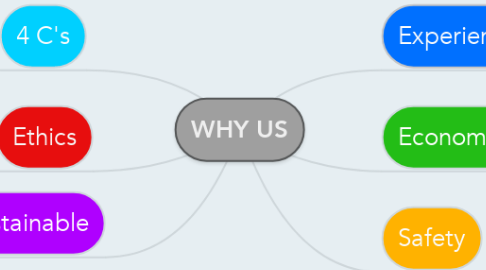 Mind Map: WHY US