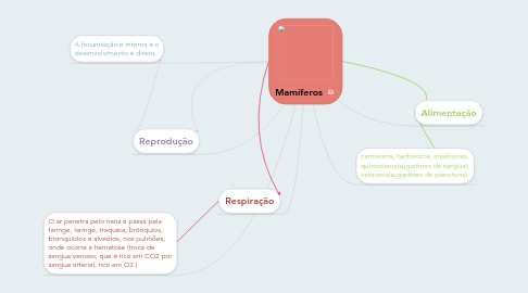 Mind Map: Mamíferos