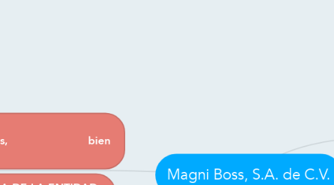 Mind Map: Magni Boss, S.A. de C.V.