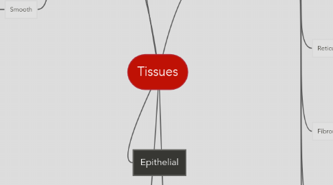 Mind Map: Tissues