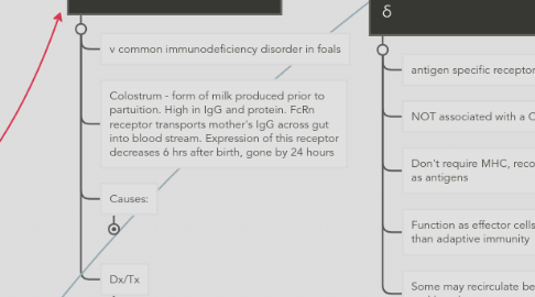 Mind Map: Immunology