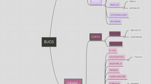 Mind Map: BUGS