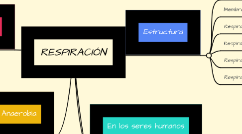 Mind Map: RESPIRACIÓN