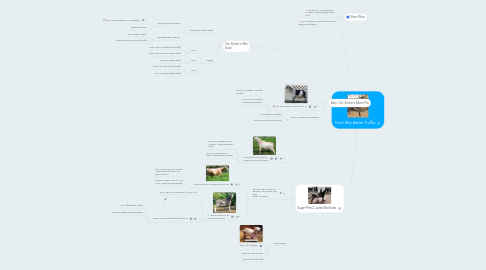 Mind Map: Terra Mia Alatta Truffle