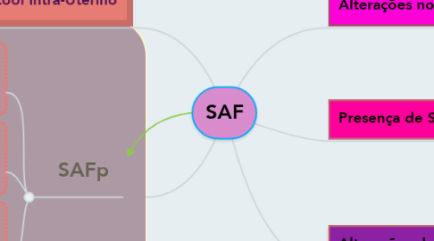 Mind Map: SAF