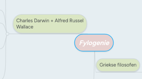 Mind Map: Fylogenie