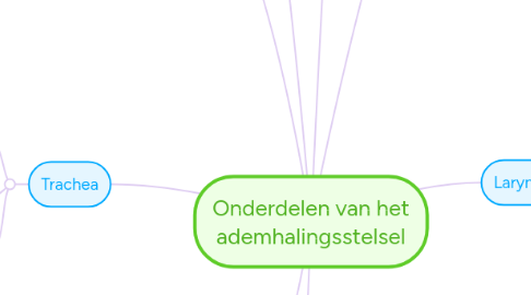 Mind Map: Onderdelen van het ademhalingsstelsel