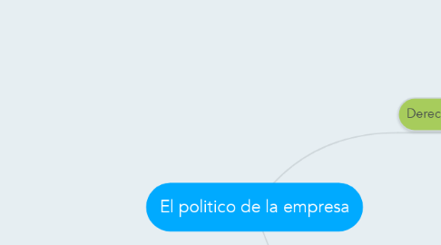 Mind Map: El politico de la empresa