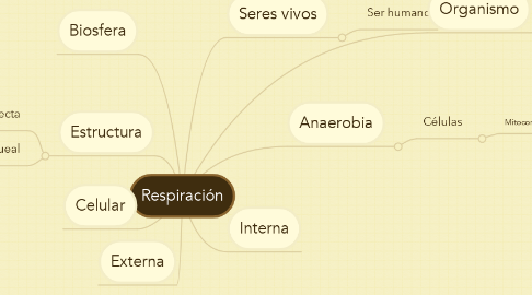 Mind Map: Respiración