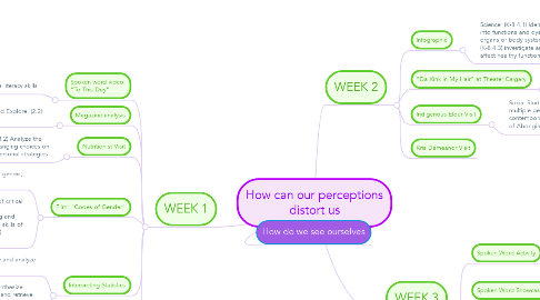 Mind Map: How can our perceptions distort us