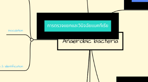 Mind Map: Anaerobic bacteria