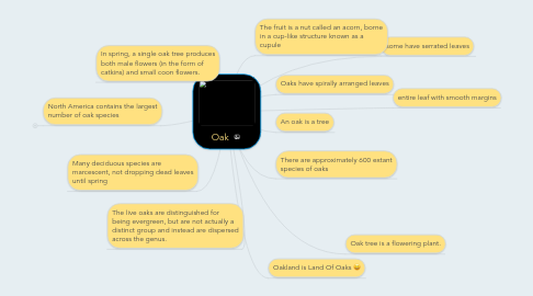 Mind Map: Oak