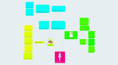 Mind Map: Sistema Nervioso