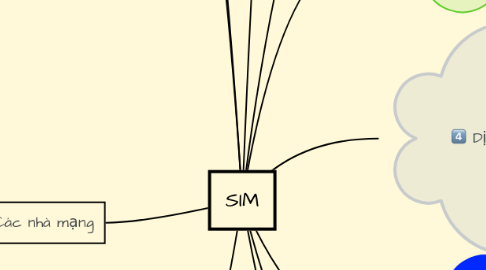 Mind Map: SIM