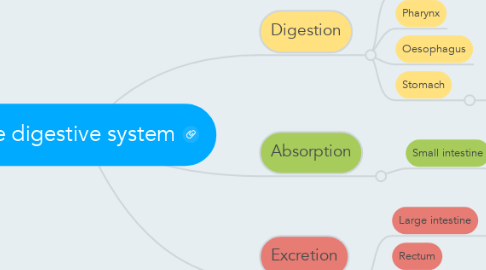 Mind Map: The digestive system