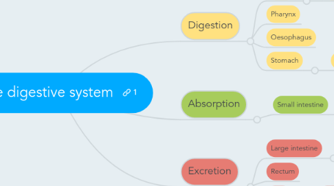 Mind Map: The digestive system