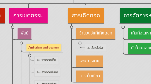 Mind Map: หน้าวัว