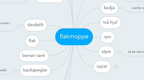Mind Map: flakmoppe