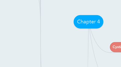 Mind Map: Chapter 4