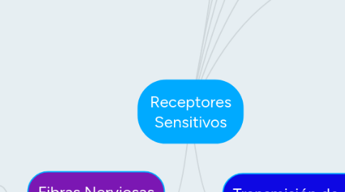 Mind Map: Receptores Sensitivos