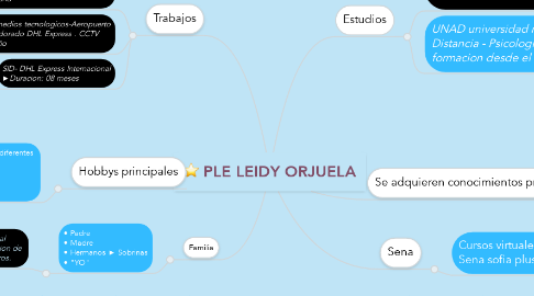 Mind Map: PLE LEIDY ORJUELA