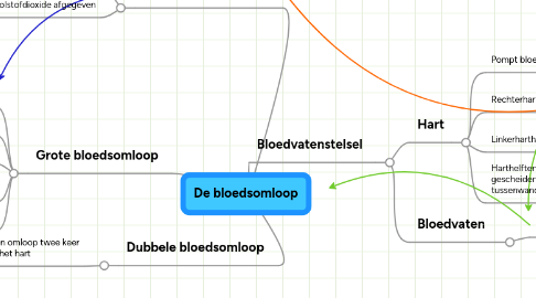 Mind Map: De bloedsomloop