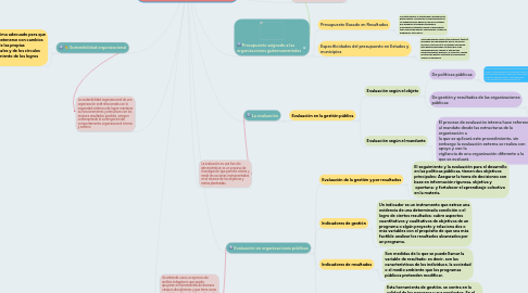 Mind Map: Evaluación y sostenibilidad organizacional a partir del presupuesto