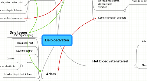 Mind Map: De bloedvaten