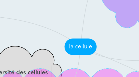 Mind Map: la cellule