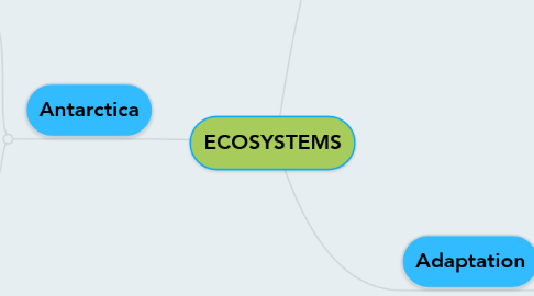 Mind Map: ECOSYSTEMS