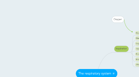 Mind Map: The respiratory system