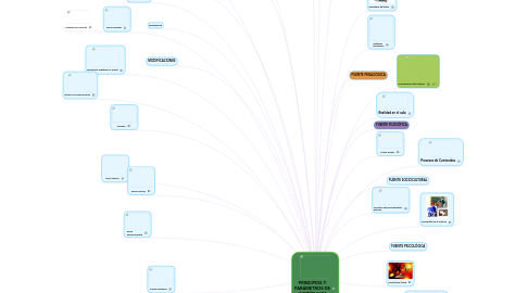 Mind Map: PRINCIPIOS Y PARÁMETROS DE CURRÍCULUM