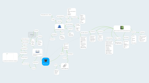 Mind Map: Educacion