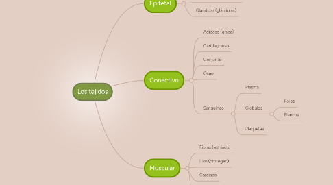 Mind Map: Los tejidos