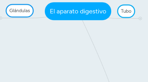 Mind Map: El aparato digestivo