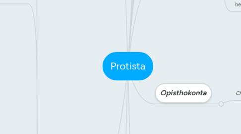 Mind Map: Protista