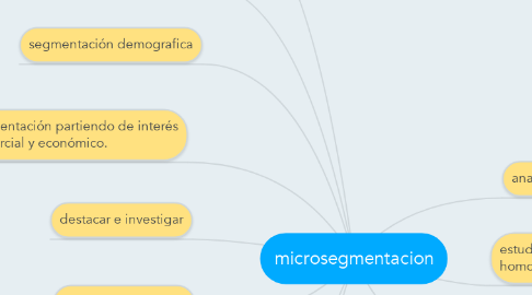 Mind Map: microsegmentacion