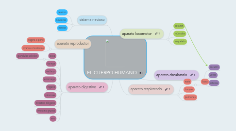 Mind Map: EL CUERPO HUMANO