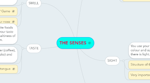 Mind Map: THE SENSES