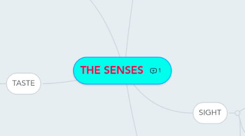 Mind Map: THE SENSES