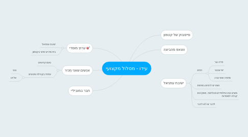 Mind Map: עידו - מסלול מקצועי