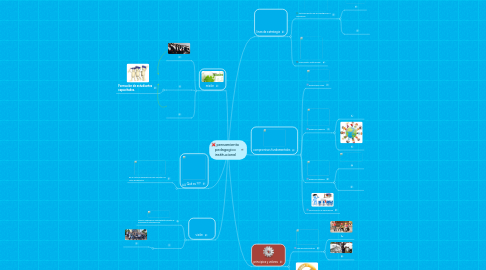 Mind Map: pensamiento pedagogico institucional