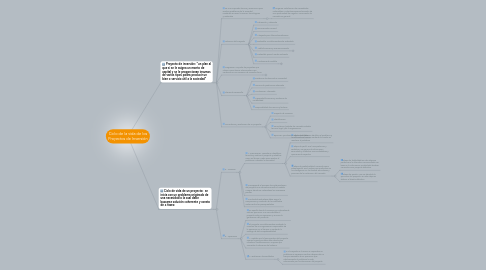 Mind Map: Ciclo de la vida de los Proyectos de Inversión