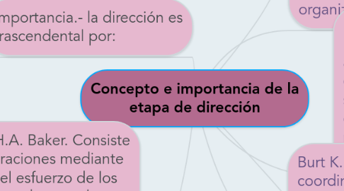 Mind Map: Concepto e importancia de la etapa de dirección