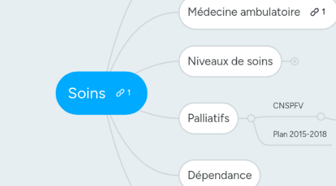 Mind Map: Soins