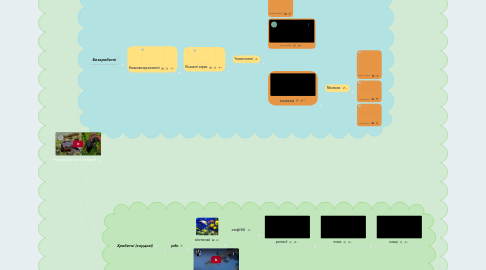 Mind Map: Різноманітність тварин