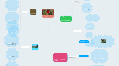 Mind Map: Організми і середовище існування