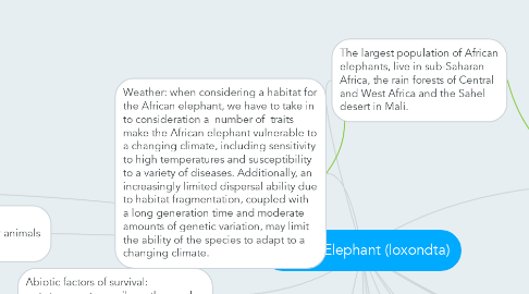 Mind Map: African Elephant (loxondta)
